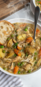 slow-cooker-chicken-stew-recipe_feature
